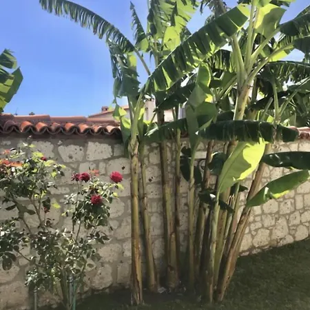 Fatma Hanim Konagi Alacati فندق